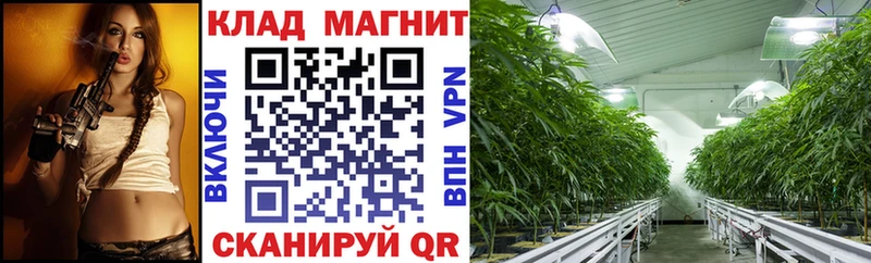 Хочу наркоту Сокол Cocaine  Амфетамин  Меф мяу мяу  мега ТОР  Конопля  MDMA  Alpha PVP  ГАШ 