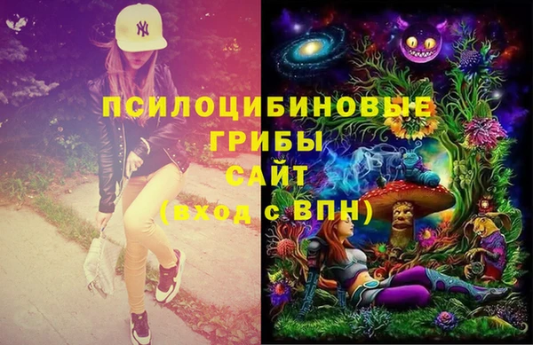 не бодяженный Белокуриха