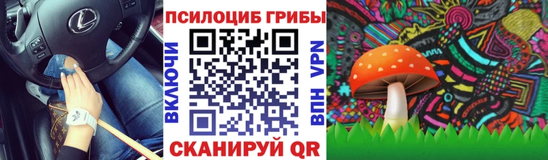 Галлюциногенные грибы Psilocybine cubensis  Сокол 